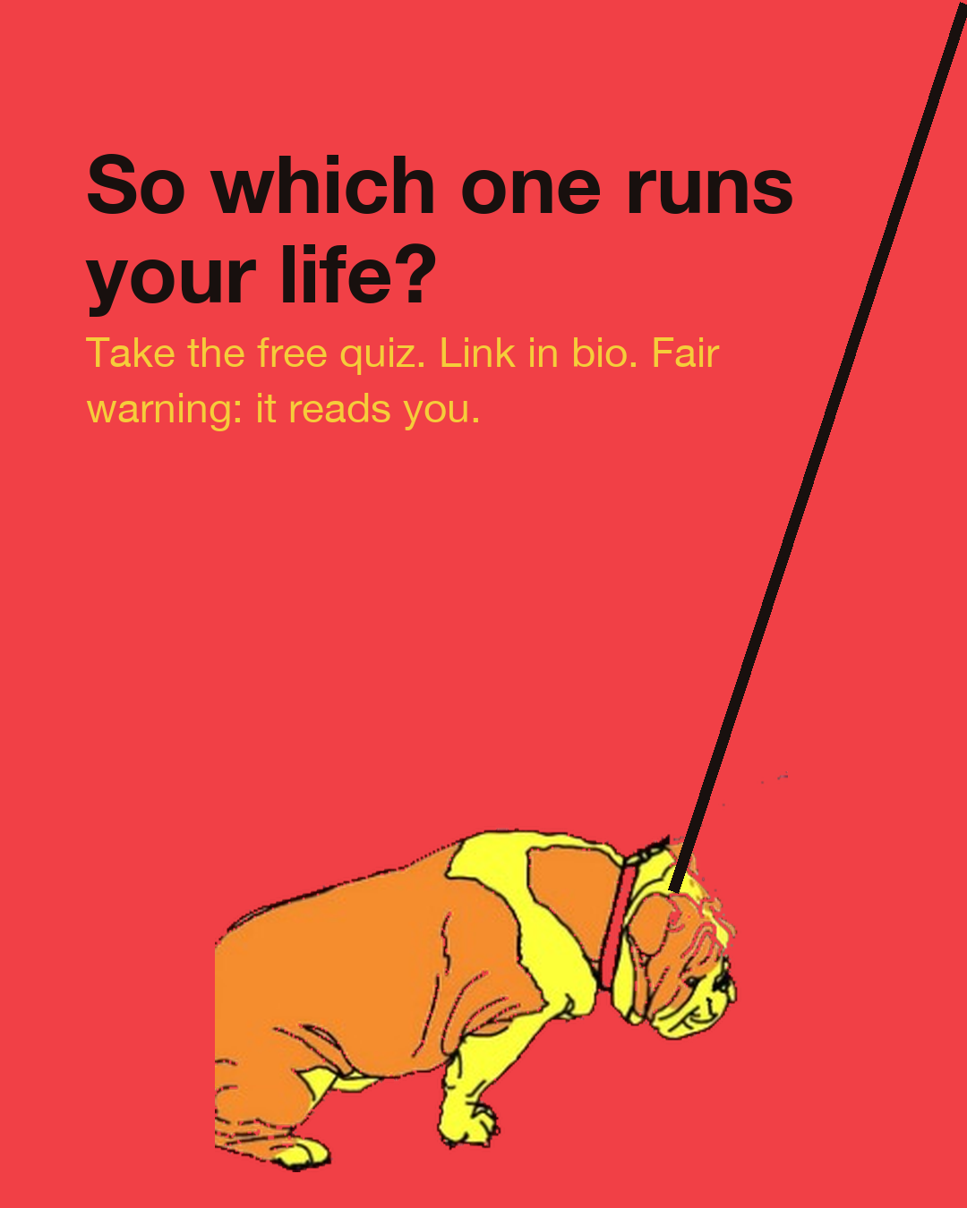 10 — CTA · link in bio
